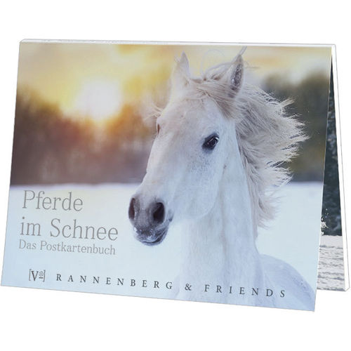 Postkartenbuch - Pferde im Schnee