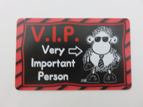 V.I.P. Very Important Person