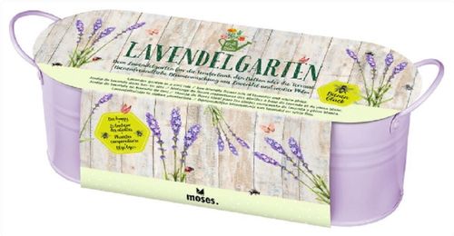 Blatt & Blüte Lavendelgarten in Zinkwanne