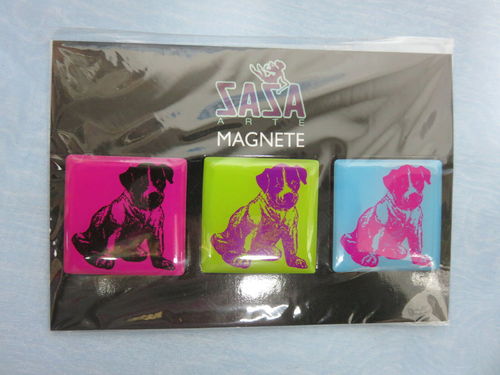 Zaza * 3er Set Magnet Hund